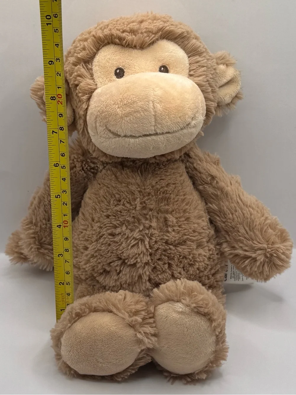 Carters carter monkey
